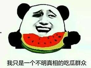 吃瓜群有没有,网络社交的趣味与争议